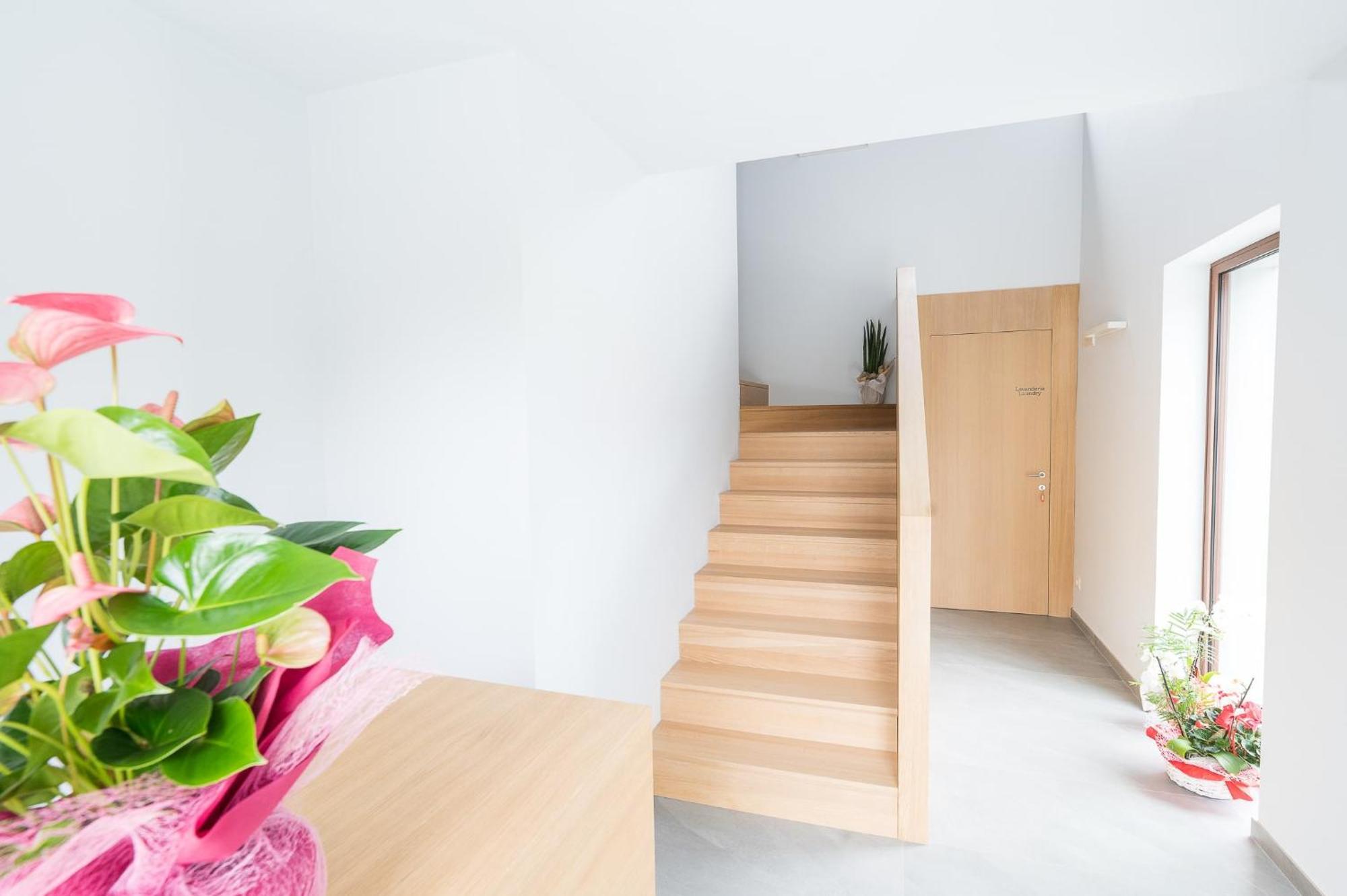 Agriturismo Grion 고리치아 외부 사진