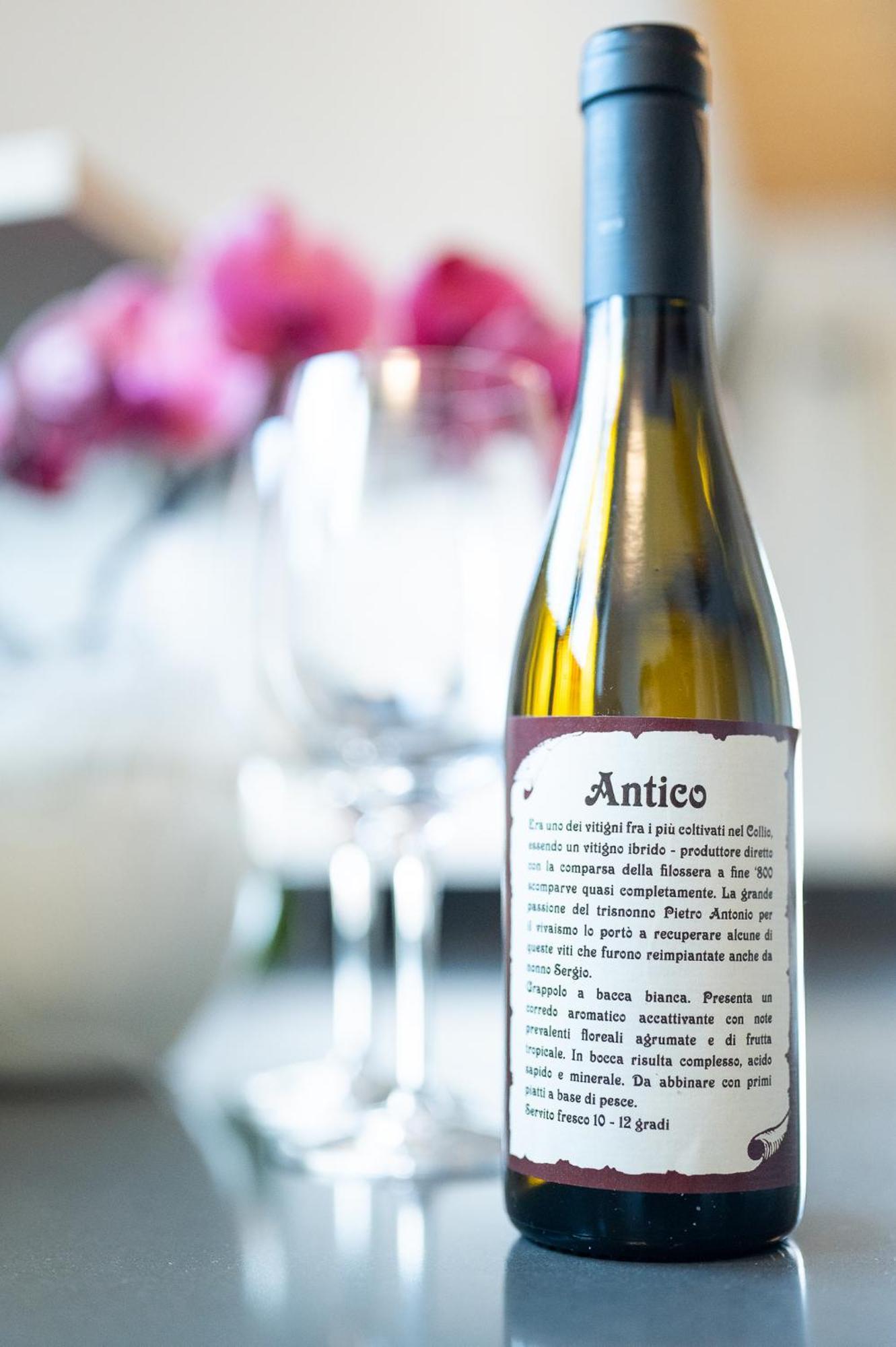 Agriturismo Grion 고리치아 외부 사진